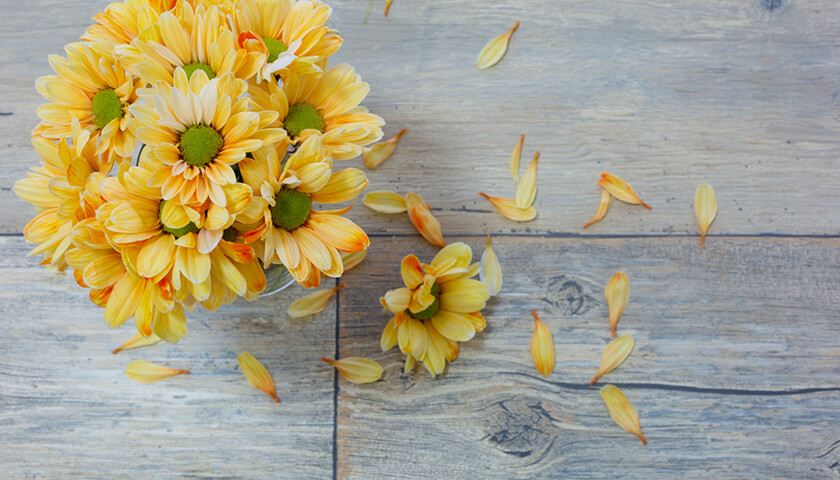 �����������¤Ȥϰۤʤ뻺��������¡�ï�ˤǤ�ȯ�ɤΥꥹ���Ϥ��롩