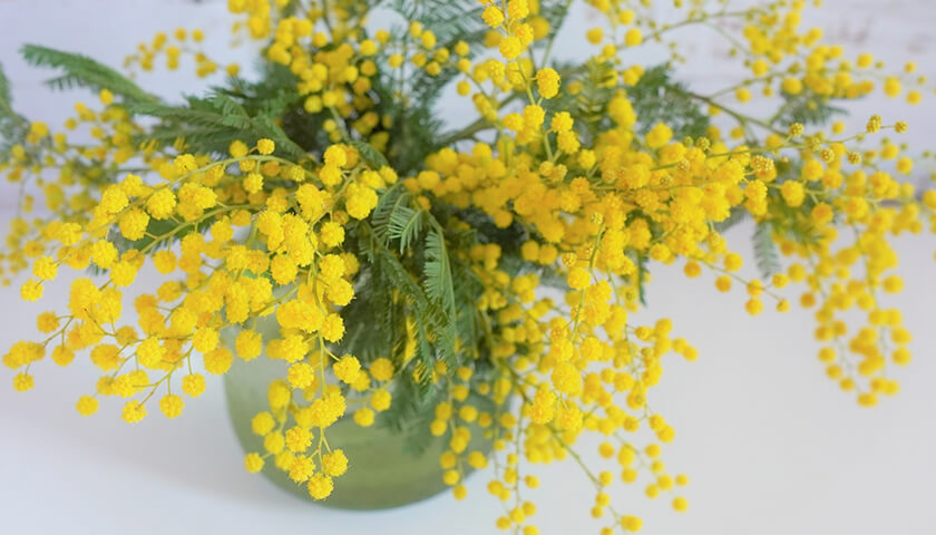 ������������ʾ�ĤŤ��Ƥ���ġ��ɤ�ʸ������ͤ����롩